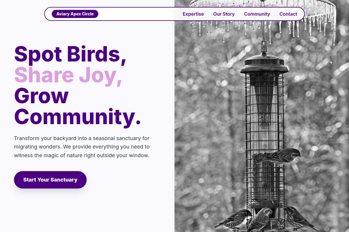 Migration Bird Feeder