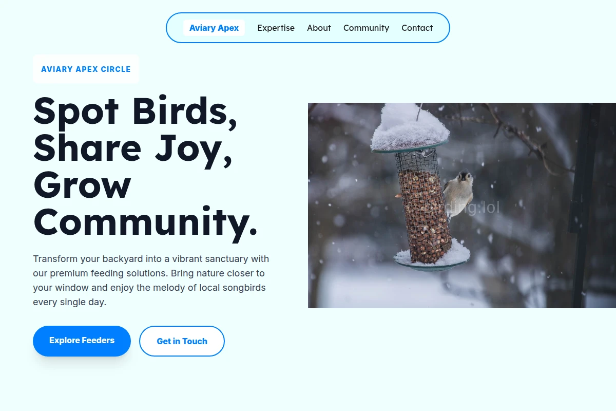 Beak Bird Feeder