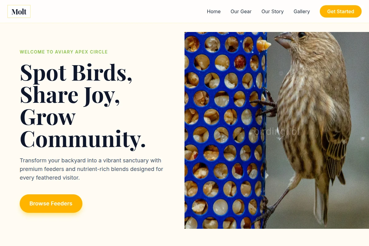 Molt Bird Feeder