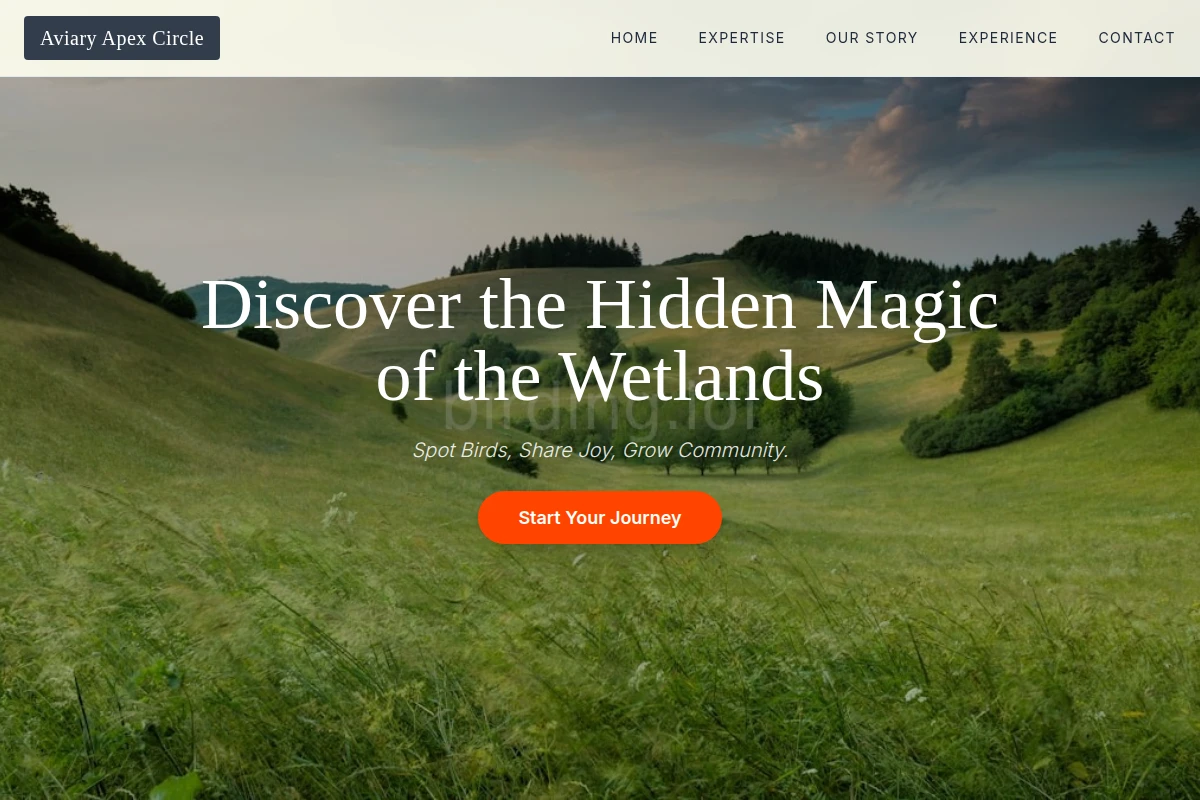 Wetland Nature